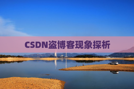 CSDN盗博客现象探析 CSDN盗博客现象探析